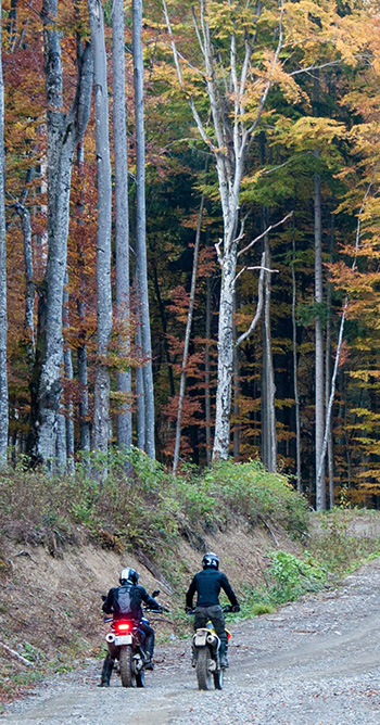About the Vintage Japanese Motorcycle Club